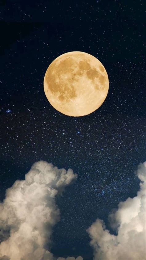 We have a massive amount of hd images that will make your computer or smartphone look absolutely. Download Moon Wallpaper by Ooz3a_217 - 3d - Free on ZEDGE ...