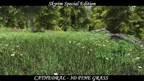 Skyrim Se Grass Mod Cathedral 3d Pine Grass Youtube