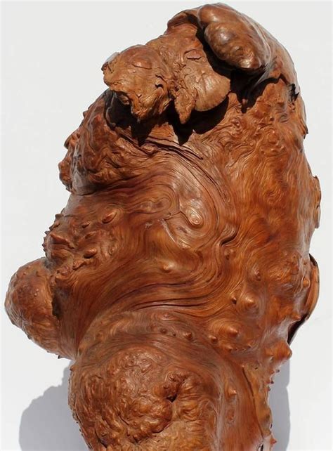 Massive Natural Burl Sculpture Sculpture Wooden Sculpture Driftwood Art