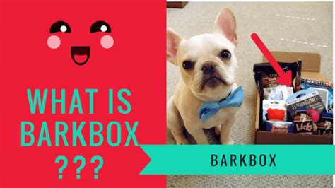 Barkbox What Is Barkbox Youtube