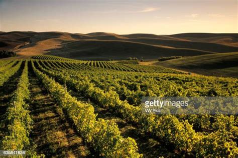 Walla Walla Photos And Premium High Res Pictures Getty Images