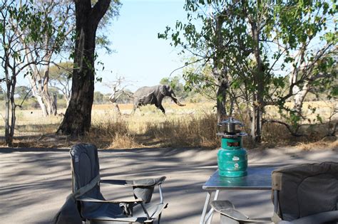 Moremi game reserve is situated on the eastern part of the okavango delta and has been named after the batswana tribe's chief moremi. Asa and Julia in Africa: Moremi Game Reserve, Botswana
