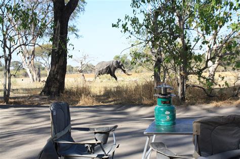 Bekijk 32 reizigersbeoordelingen, 42 onthullende foto's en goede aanbiedingen voor kaziikini campsite, gewaardeerd als nr.28 van 31 bijzondere accommodaties in moremi game reserve ook bekend als. Asa and Julia in Africa: Moremi Game Reserve, Botswana