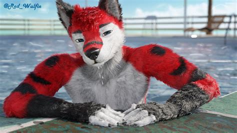Red Wulfie On Twitter Hey There Cutie Wanna Come For A Swim