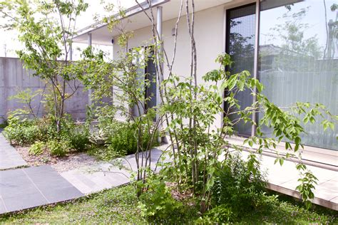 雑木の庭：姫路市・O邸 | リビングソイル研究所