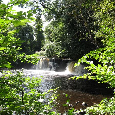 Linn Park Glasgow All You Need To Know Before You Go
