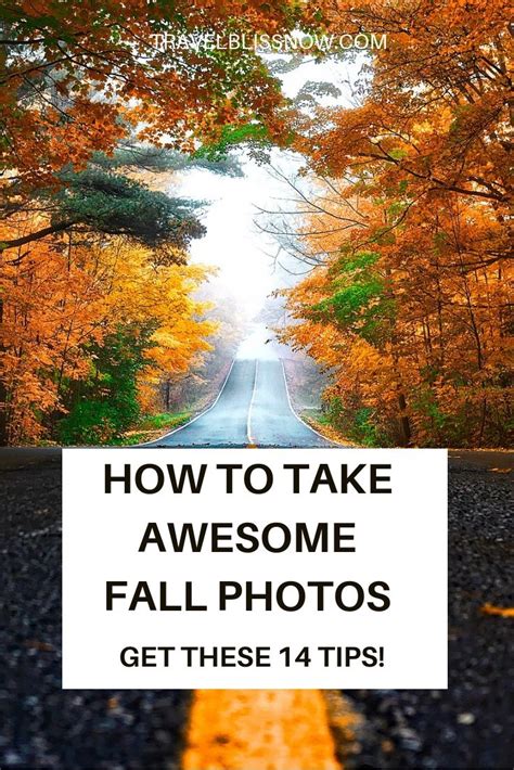 14 Fall Photography Tips For Awesome Autumn Images Photography Tips
