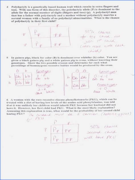If you make a punett square the diagonal will have the progeny probability. Dihybrid Cross Worksheet Answers Awesome 15 Best Of Dihybrid Cross Worksheet Answers - Chess… in ...