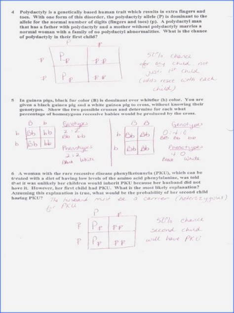 The genes for seed texture and those for seed color are on different chromosomes. Dihybrid Cross Worksheet Answer Key Biology - worksheet