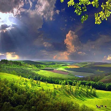 Country Summer Day Wallpaperrocks Landscape Scenery Nature