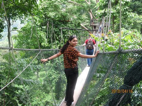 We explore taman negara (national park) in pahang, malaysia!after crossing the river from kuala tahan, we entered taman negara where we did the canopy walk. World Through Mini's Diary: visit to rainforest..taman ...