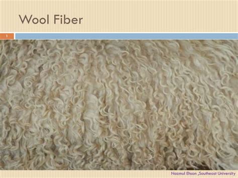Wool From Fibre To Fabric