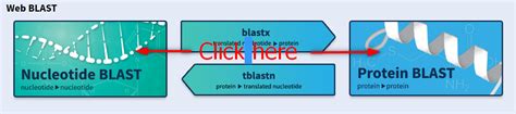 Ncbi Blast Download Ncbi Gene Sequence With Blast Fasta Techsci