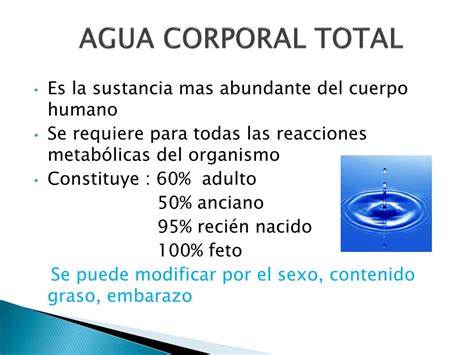 Calculo Agua Corporal Total