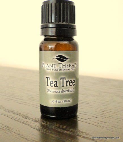 Tea Tree Essential Oil Benefits Cindy Capalbo
