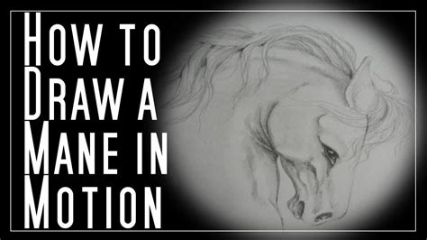 How To Draw A Mane In Motion Drawings Mane Drawing Lessons
