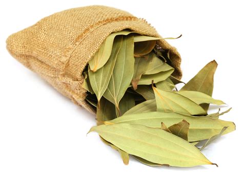 Cassia Leaf Essential Oil Uses And Benefits