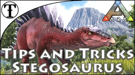 Fast Stegosaurus Taming Guide Ark Survival Evolved Tips And Tricks