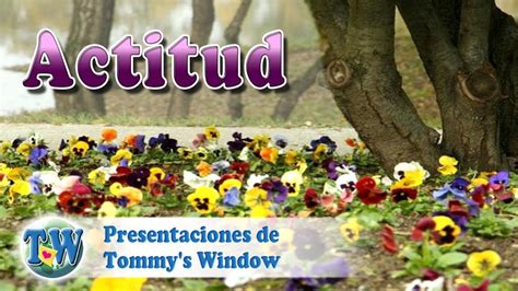 Actitud Presentaciones De Tommys Window Español Youtube