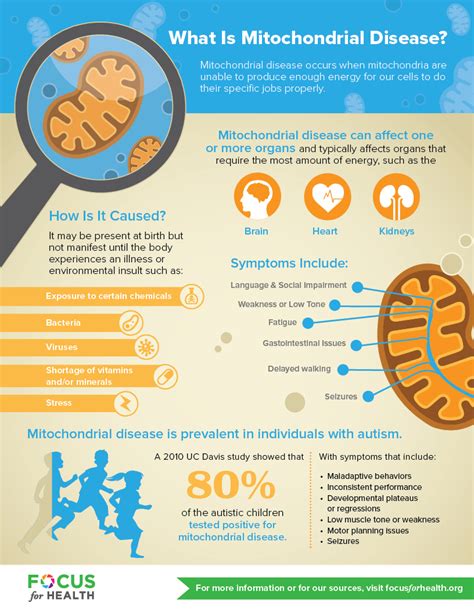 Infographics See Read Learn Focus For Health