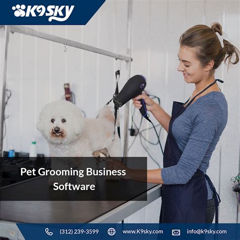 A guy with long hair is often associated with knights in shining armor from the era when long hairstyles didn't surprise anyone. K9 Grooming: The Trendiest Hairstyle for Your Dog - Ko-fi ...