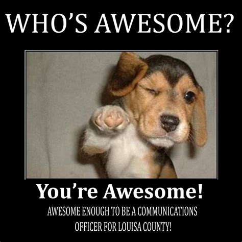 Whos Awesome Youre Awesome Dog