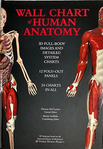 Buy Wall Chart Of Human Anatomy 3d Dull Body Images And Detailed