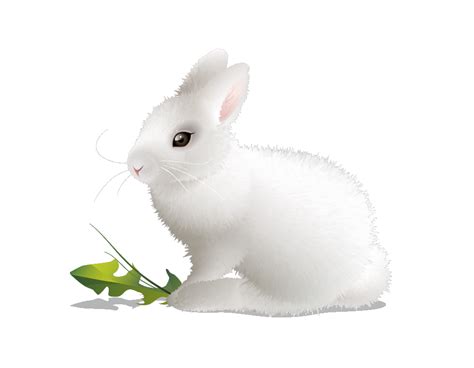 Tu cherches clipart lapin png images ou de vecteurs?choisir les ressources de 560+ clipart lapin et télécharger sous forme de png, eps, ai ou psd. lapin,rabbit,tubes,png