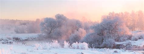 Bright Winter Sunrise White Frosty Trees In Christmas Morning Stock