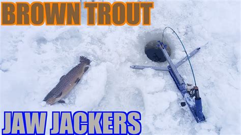 Brown Trout Caught On Jaw Jackers Youtube