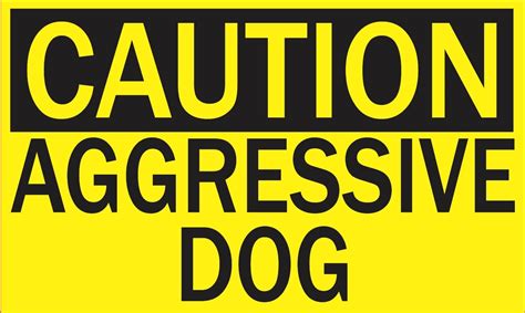 5in X 3in Caution Aggressive Dog Magnet Magnetic Caution Sign Magnets