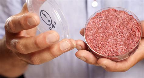 Cultured meat seems gross? It's much better than animal agriculture ...