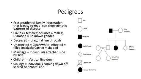 Ppt Pedigrees Gender And X Linked Traits Powerpoint Presentation