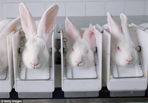 EU and UK beauty brands are still being tested on animals | Daily Mail