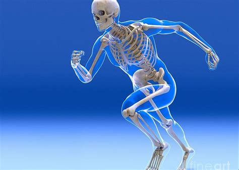 How can i contact spine and sport physical therapy? Home - Spine & Sports Physical Therapy