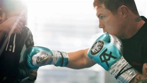 Esta pelea fue para defender su título de peso súper mediano del consejo mundial de boxeo, pues tenía que enfrentarse al contendiente número uno de esta organización. Canelo Álvarez vs. Avni Yildirim: la millonaria suma que ...