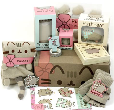 The Pusheen Box Winter 2016 Is Filled With Everything Needed To Stay
