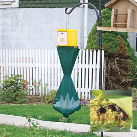 Japanese Beetle Trap Gardens Alive