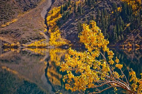 Fall Colors At Convict Lake Photos Diagrams And Topos Summitpost