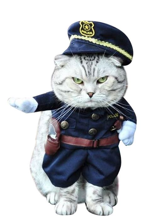 30 Pet Cat Halloween Costumes 2017 Cute Ideas For Cat