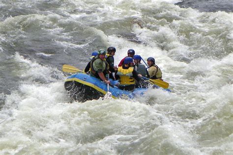 white water rafting ganga river rishikesh uttarakhand india