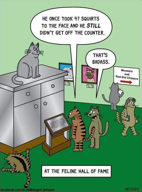 Feline Hall Of Fame Cat Jokes Funny Cats Cat Comics