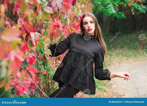 Beautiful Model Posing In Autumn Park Stock Image Image Of Park Elegance 86656491