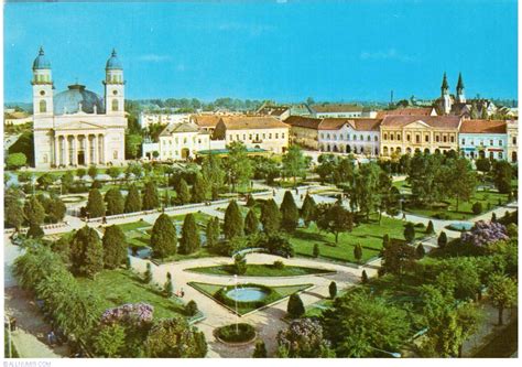 Satu Mare, Satu Mare - Romania - Postcard - 31384