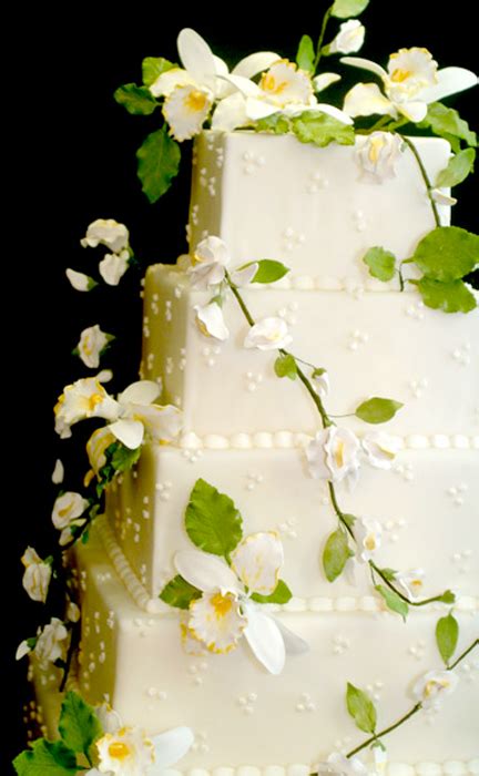 Healthy Vegan Wedding Cake At Chelsea Clintons Wedding Photo