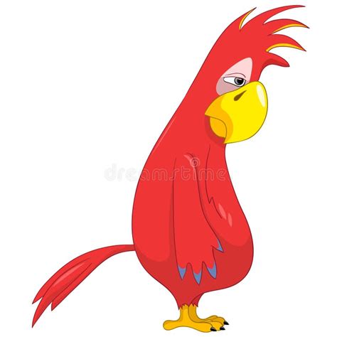 Funny Parrot Sad Royalty Free Stock Images Image 25353229