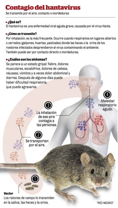 Elimina las opciones del filtro de busqueda. Hantavirus en Argentina - ECyT-ar