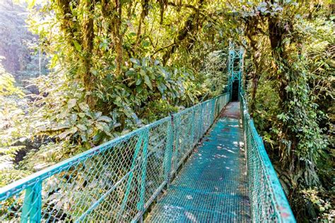 Hanging Bridges In Cloudforest Monteverde Costa Rica Stock Photo