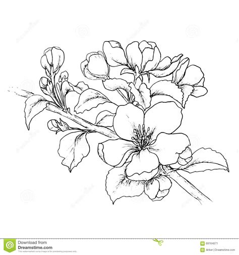 This is a list of the supplies we used, but feel free to use whatever you have in your home or classroom. Hand Drawn Branch Of Cherry Blossom Stock Vector ...