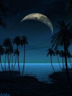 We did not find results for: Download Animated 240x320 «Ночь» Cell Phone Wallpaper. Category: Nature | Ocean at night, Beach ...